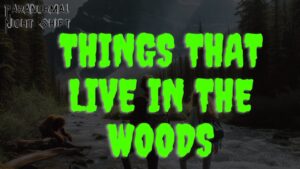 Things that Live in the Woods – Paranormal Nightshift Story – Episode 85